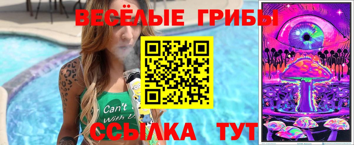 Галлюциногенные грибы мицелий Орёл
