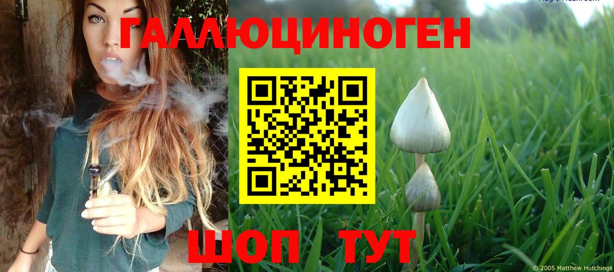 Орёл  купить наркотики цена  Галлюциногенные грибы Magic Shrooms  Вход с VPN  Галлюциногенные грибы мицелий 